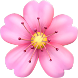 🌸