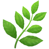 🌿